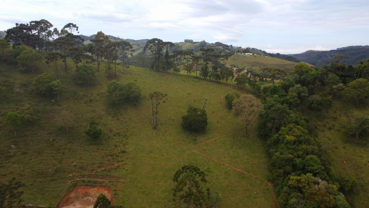 03 Canario Fogo Cunha