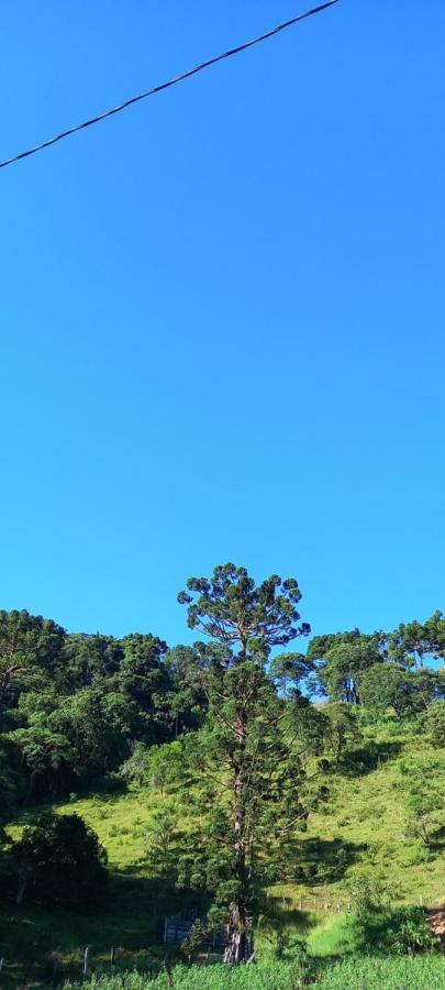 度假居 03 Canario Fogo *