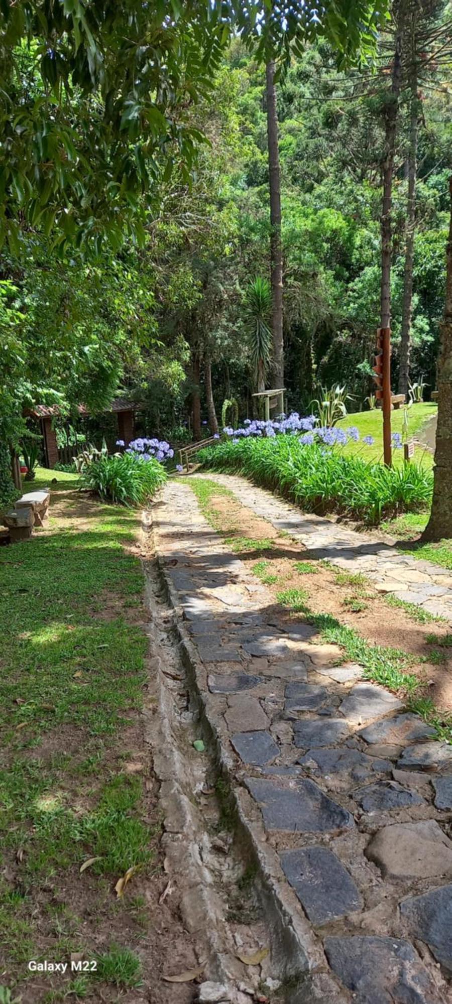 03 Canario Fogo Holiday home Cunha