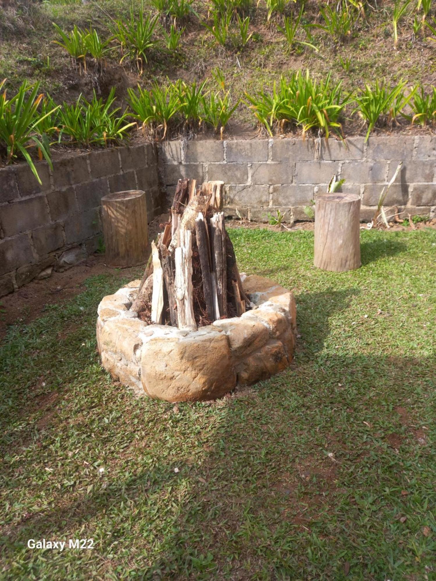 03 Canario Fogo * Cunha
